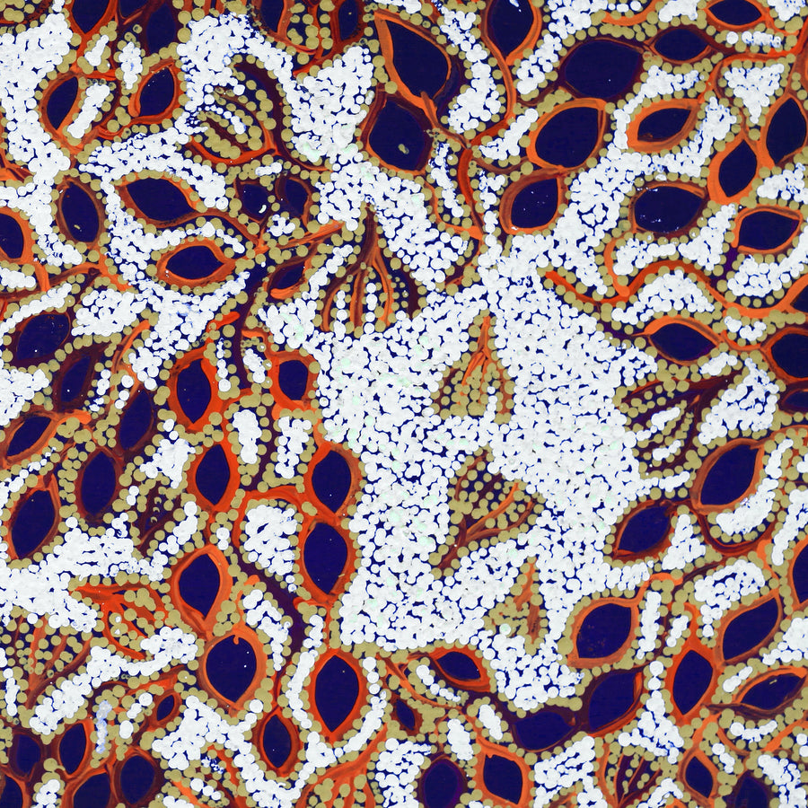 Aboriginal Artwork by Juliette Nampijinpa Brown, Ngapa Jukurrpa (Water Dreaming) - Mikanji, 91x46cm