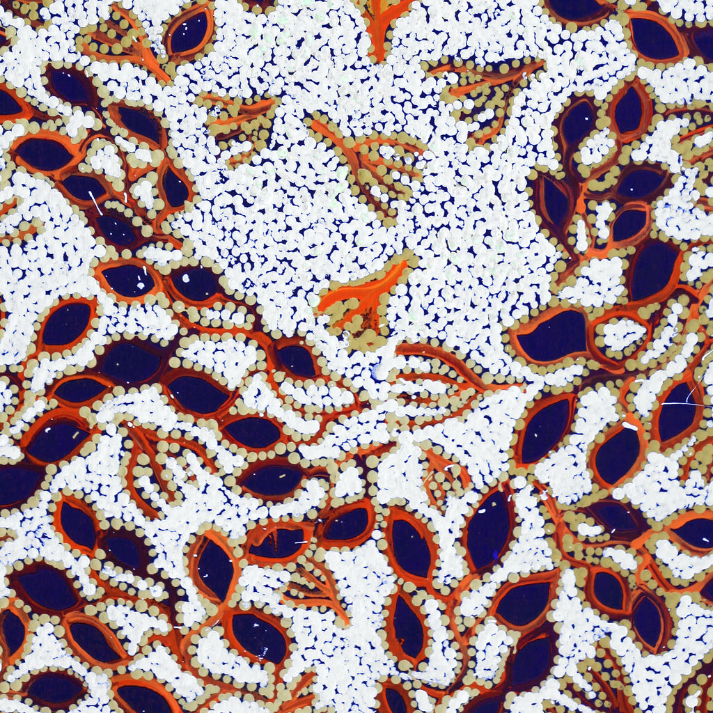 Aboriginal Artwork by Juliette Nampijinpa Brown, Ngapa Jukurrpa (Water Dreaming) - Mikanji, 91x46cm
