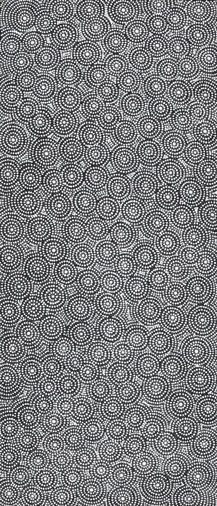 Aboriginal Artwork by Justine Nakamarra Nelson, Yarla Jukurrpa (Bush Potato Dreaming) - Cockatoo Creek, 107x46cm