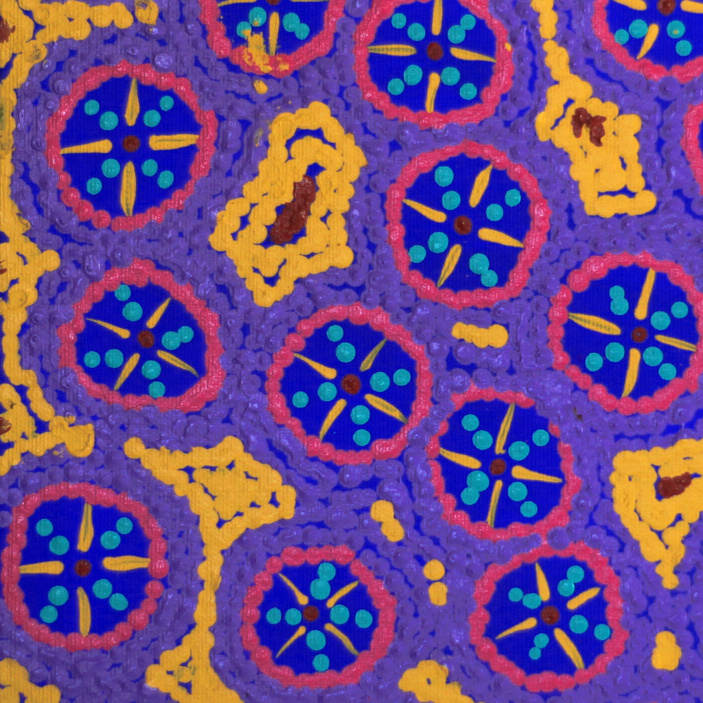 Aboriginal Artwork by Kaylisha Napaljarri Ross, Ngatijirri Jukurrpa (Budgerigar Dreaming), 30x30cm