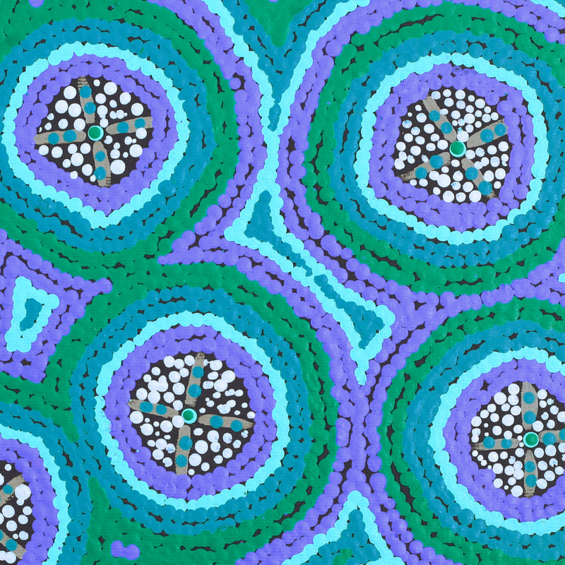 Aboriginal Artwork by Kaylisha Napaljarri Ross, Ngatijirri Jukurrpa (Budgerigar Dreaming), 30x30cm