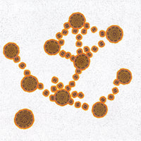 Aboriginal Artwork by Kara Napangardi Ross, Pamapardu Jukurrpa (Flying Ant Dreaming) - Warntungurru, 107x107cm