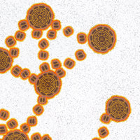 Aboriginal Artwork by Kara Napangardi Ross, Pamapardu Jukurrpa (Flying Ant Dreaming) - Warntungurru, 107x107cm