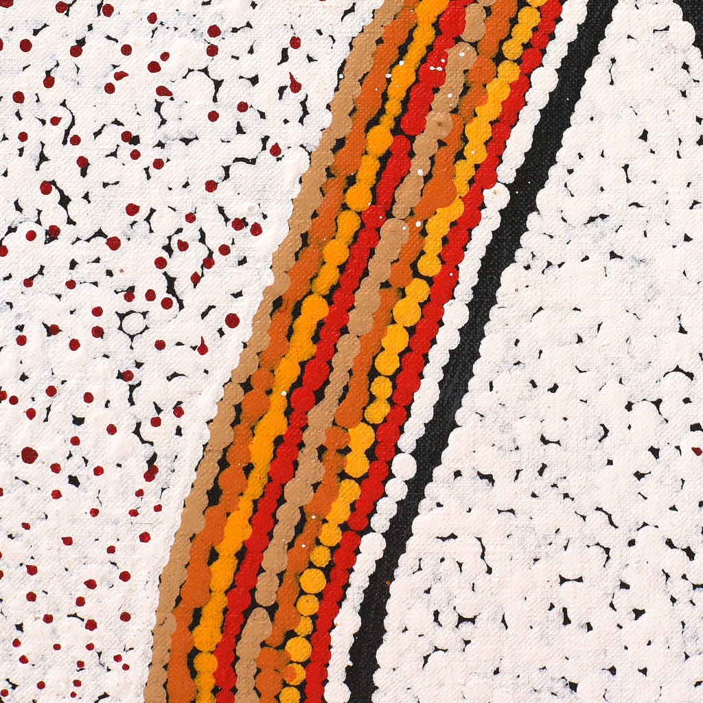 Aboriginal Artwork by Kara Napangardi Ross, Pamapardu Jukurrpa (Flying Ant Dreaming) - Warntungurru, 122x61cm