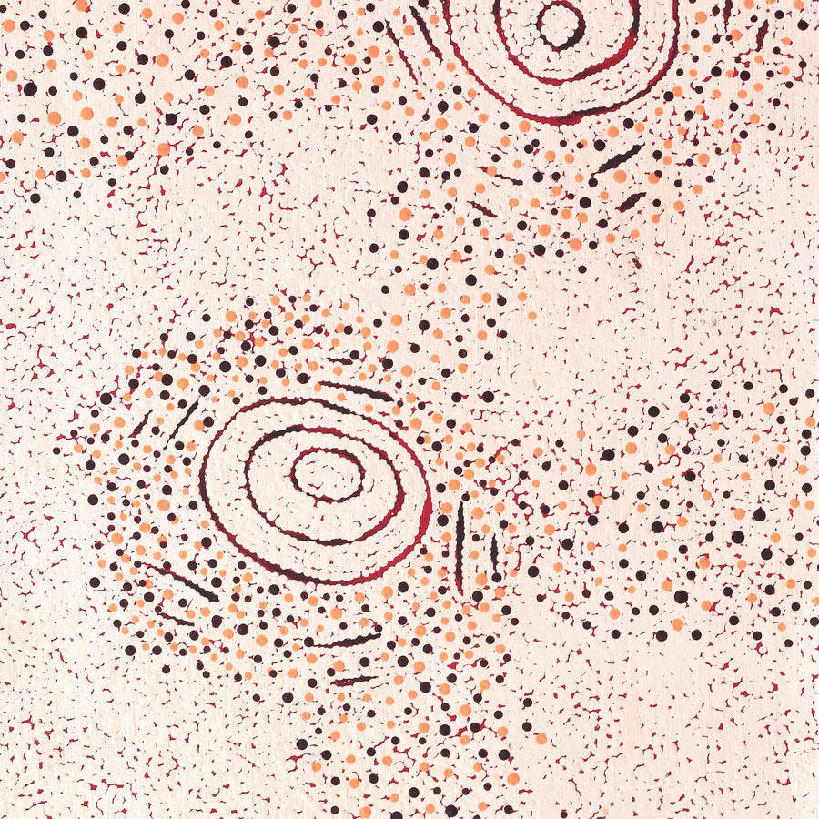 Aboriginal Artwork by Kara Napangardi Ross, Pamapardu Jukurrpa (Flying Ant Dreaming) - Warntungurru, 122x46cm