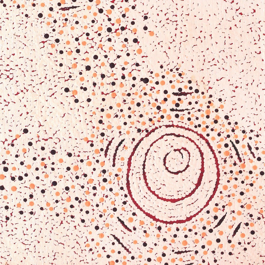 Aboriginal Artwork by Kara Napangardi Ross, Pamapardu Jukurrpa (Flying Ant Dreaming) - Warntungurru, 122x46cm