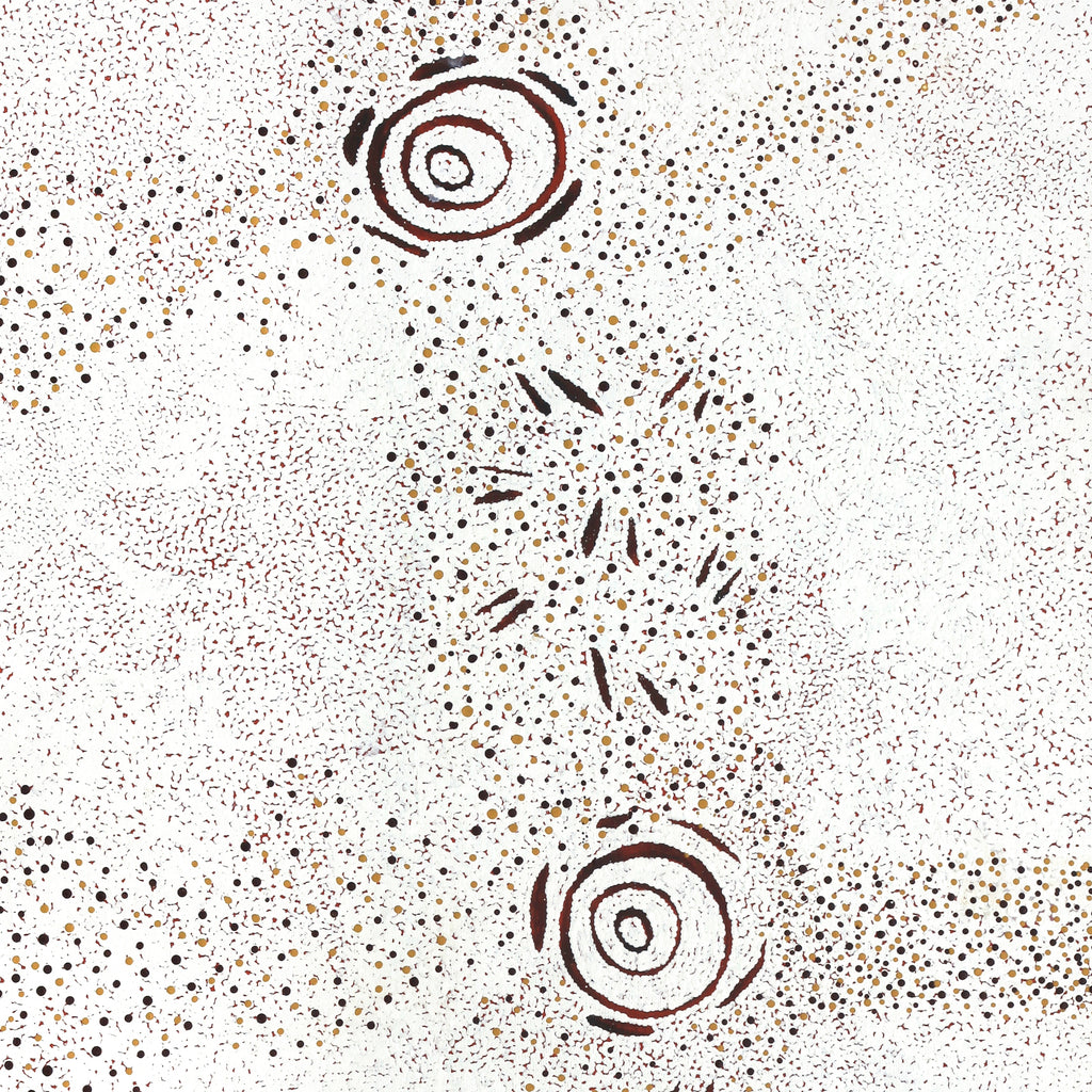 Aboriginal Artwork by Kara Napangardi Ross, Pamapardu Jukurrpa (Flying Ant Dreaming) - Warntungurru, 203x91cm