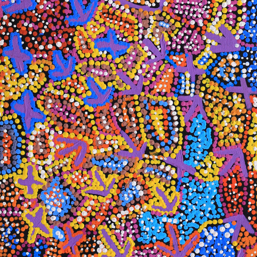 Aboriginal Artwork by Karen Napaljarri Barnes, Yankirri Jukurrpa (Emu Dreaming) - Ngarlikurlangu, 91x30cm