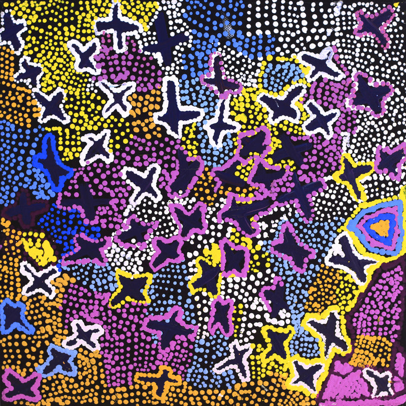 Aboriginal Artwork by Karen Napaljarri Barnes, Ngatijirri Jukurrpa (Budgerigar Dreaming), 30.5x30.5cm