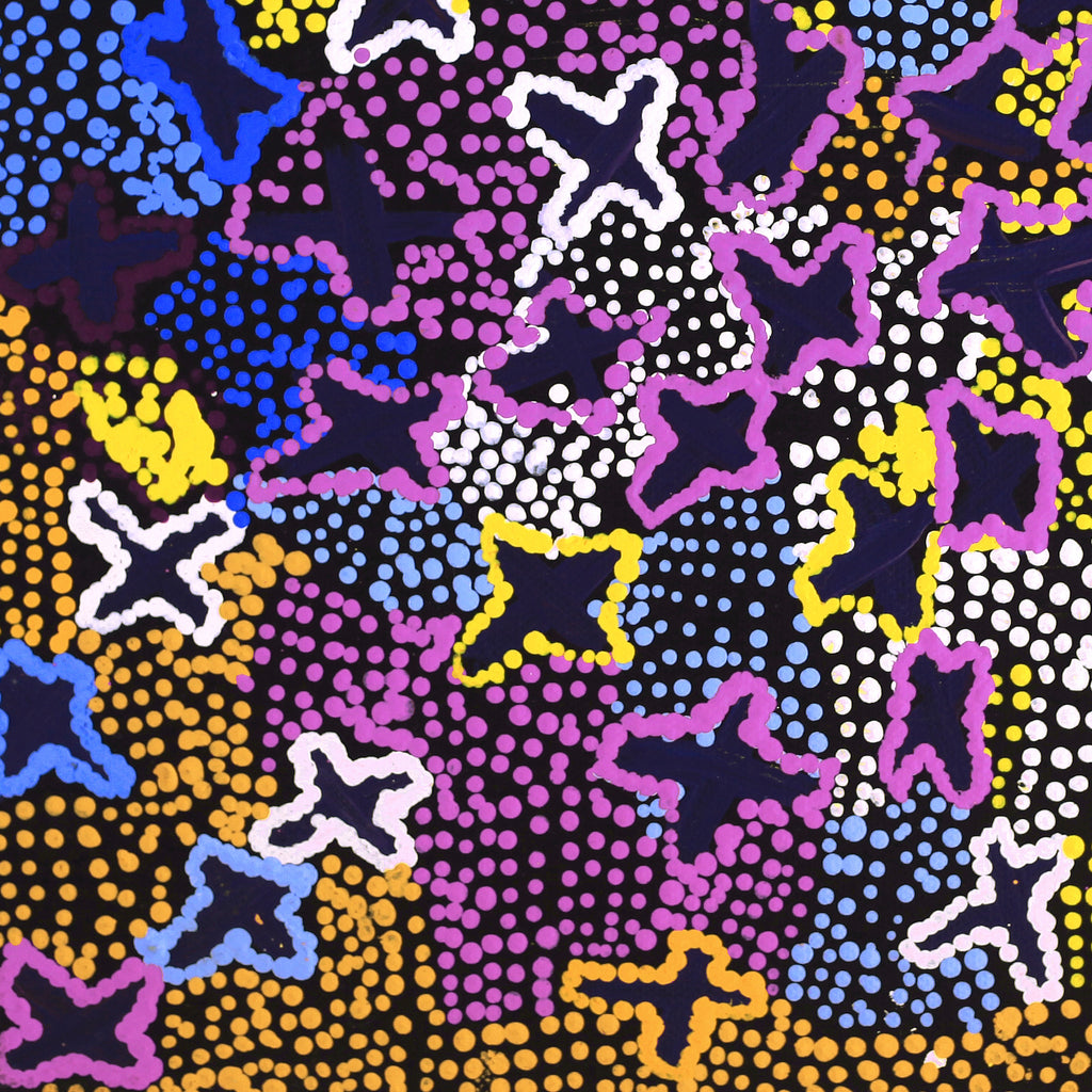 Aboriginal Artwork by Karen Napaljarri Barnes, Ngatijirri Jukurrpa (Budgerigar Dreaming), 30.5x30.5cm