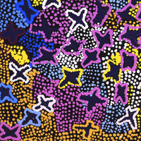 Aboriginal Artwork by Karen Napaljarri Barnes, Ngatijirri Jukurrpa (Budgerigar Dreaming), 30.5x30.5cm