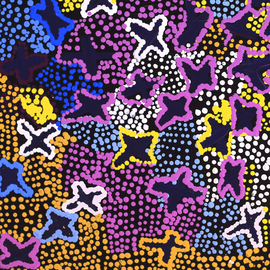 Aboriginal Artwork by Karen Napaljarri Barnes, Ngatijirri Jukurrpa (Budgerigar Dreaming), 30.5x30.5cm