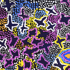 Aboriginal Artwork by Karen Napaljarri Barnes, Ngatijirri Jukurrpa (Budgerigar Dreaming), 30.5x30.5cm - ART ARK®