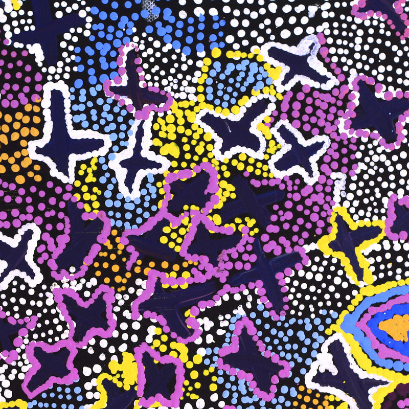 Aboriginal Artwork by Karen Napaljarri Barnes, Ngatijirri Jukurrpa (Budgerigar Dreaming), 30.5x30.5cm