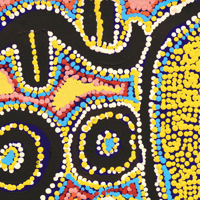 Aboriginal Artwork by Karen Napaljarri Barnes, Mina Mina Jukurrpa - Ngalyipi, 30.5x30.5cm