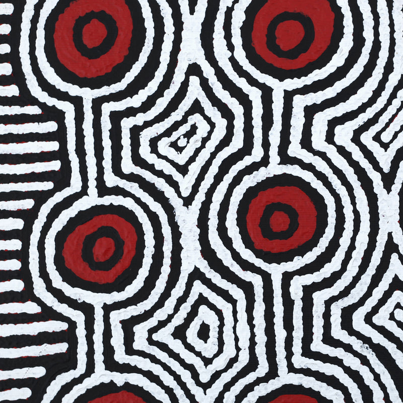 Aboriginal Artwork by Kasey-Anne Nampijinpa Gallagher, Water Dreaming - Pirlinyarnu, 30x30cm