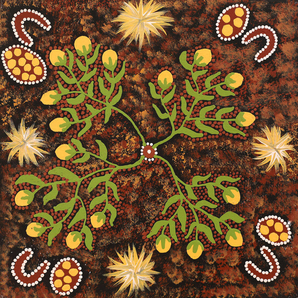 Aboriginal Art by Kathy Napangardi Bagot, Wayipi Jukurrpa (Bush Onion Dreaming), 30x30cm - ART ARK®