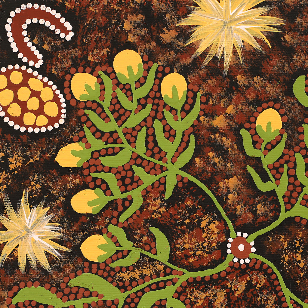 Aboriginal Art by Kathy Napangardi Bagot, Wayipi Jukurrpa (Bush Onion Dreaming), 30x30cm - ART ARK®