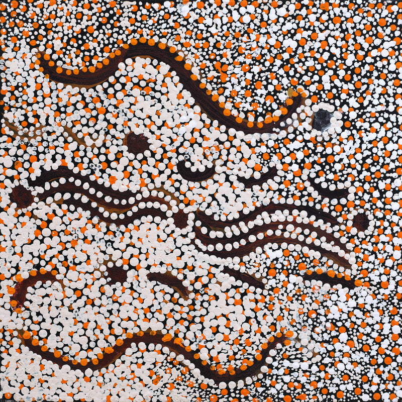 Aboriginal Artwork by Katrina Nampijinpa Brown, Watiya-warnu Jukurrpa (Seed Dreaming), 30x30cm