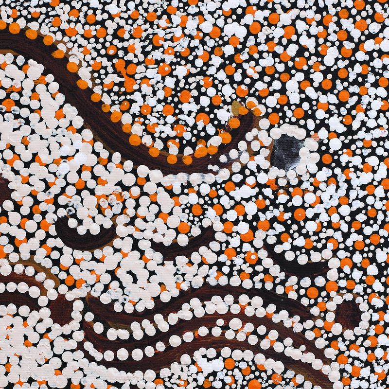 Aboriginal Artwork by Katrina Nampijinpa Brown, Watiya-warnu Jukurrpa (Seed Dreaming), 30x30cm
