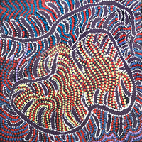 Aboriginal Artwork by Katrina Nampijinpa Brown, Watiya-warnu Jukurrpa (Seed Dreaming), 30x30cm