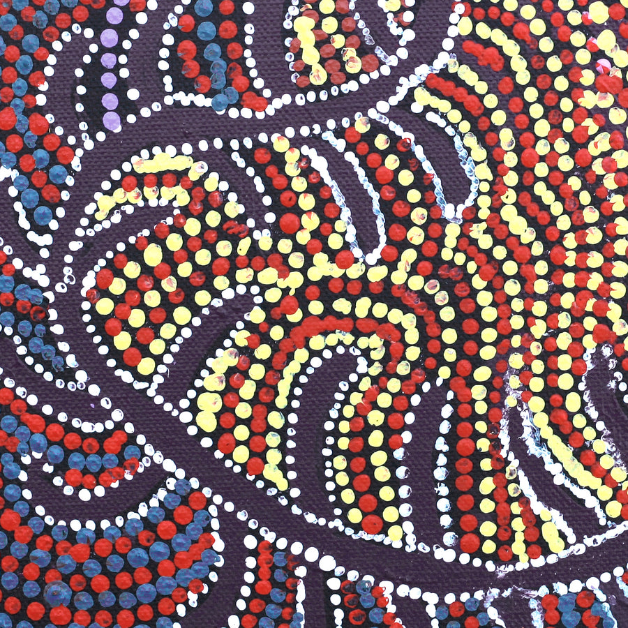 Aboriginal Artwork by Katrina Nampijinpa Brown, Watiya-warnu Jukurrpa (Seed Dreaming), 30x30cm