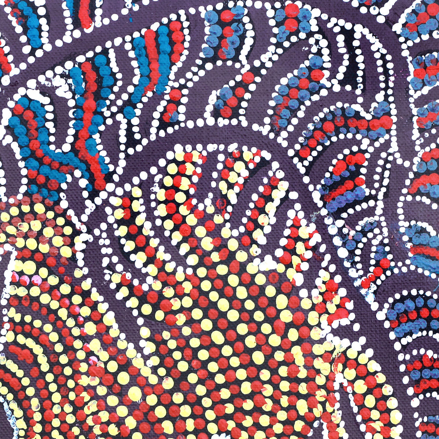 Aboriginal Artwork by Katrina Nampijinpa Brown, Watiya-warnu Jukurrpa (Seed Dreaming), 30x30cm