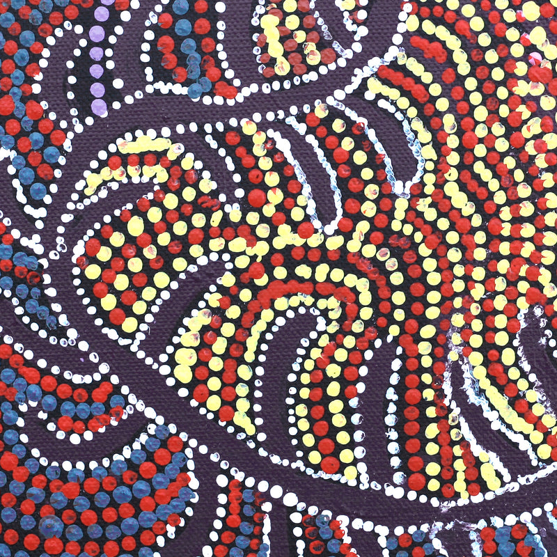 Aboriginal Artwork by Katrina Nampijinpa Brown, Watiya-warnu Jukurrpa (Seed Dreaming), 30x30cm