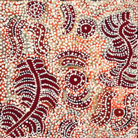 Aboriginal Artwork by Katrina Nampijinpa Brown, Watiya-warnu Jukurrpa (Seed Dreaming), 30x30cm