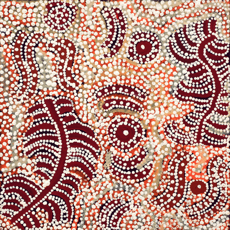 Aboriginal Artwork by Katrina Nampijinpa Brown, Watiya-warnu Jukurrpa (Seed Dreaming), 30x30cm