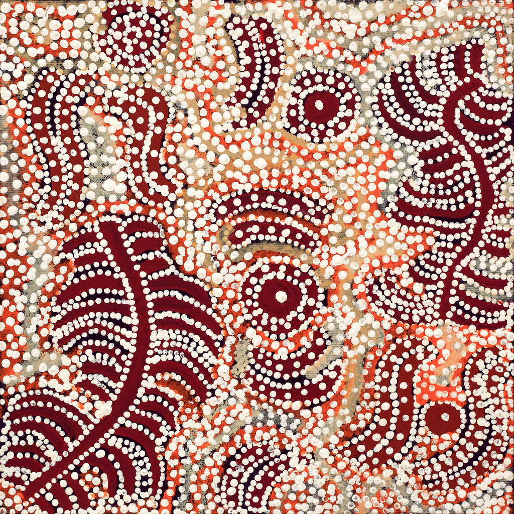 Aboriginal Artwork by Katrina Nampijinpa Brown, Watiya-warnu Jukurrpa (Seed Dreaming), 30x30cm - ART ARK®