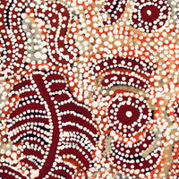 Aboriginal Artwork by Katrina Nampijinpa Brown, Watiya-warnu Jukurrpa (Seed Dreaming), 30x30cm