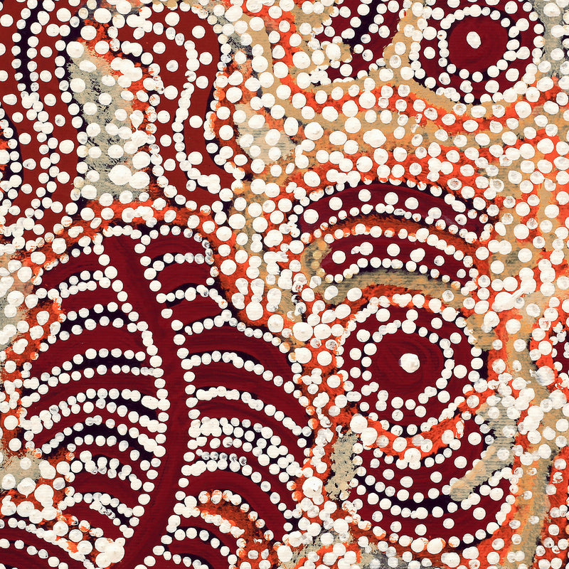 Aboriginal Artwork by Katrina Nampijinpa Brown, Watiya-warnu Jukurrpa (Seed Dreaming), 30x30cm