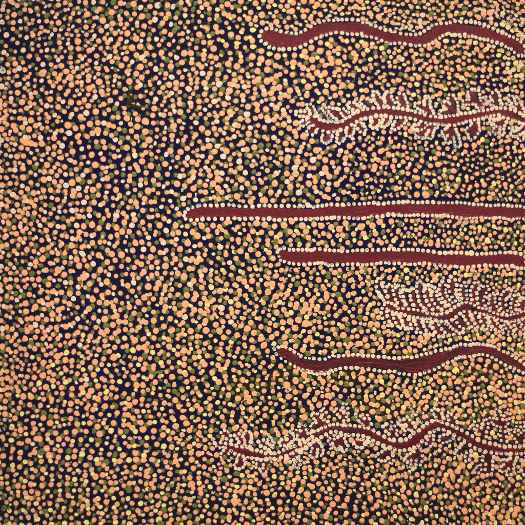 Aboriginal Artwork by Katrina Nampijinpa Brown, Watiya-warnu Jukurrpa (Seed Dreaming), 46x46cm