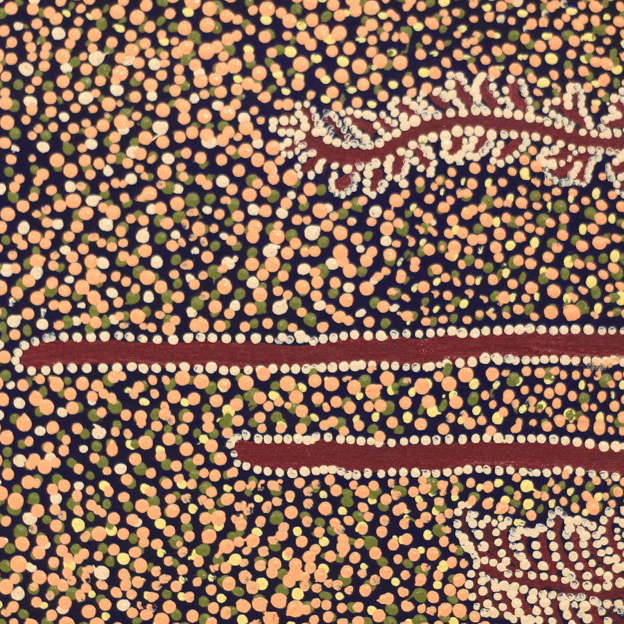 Aboriginal Artwork by Katrina Nampijinpa Brown, Watiya-warnu Jukurrpa (Seed Dreaming), 46x46cm