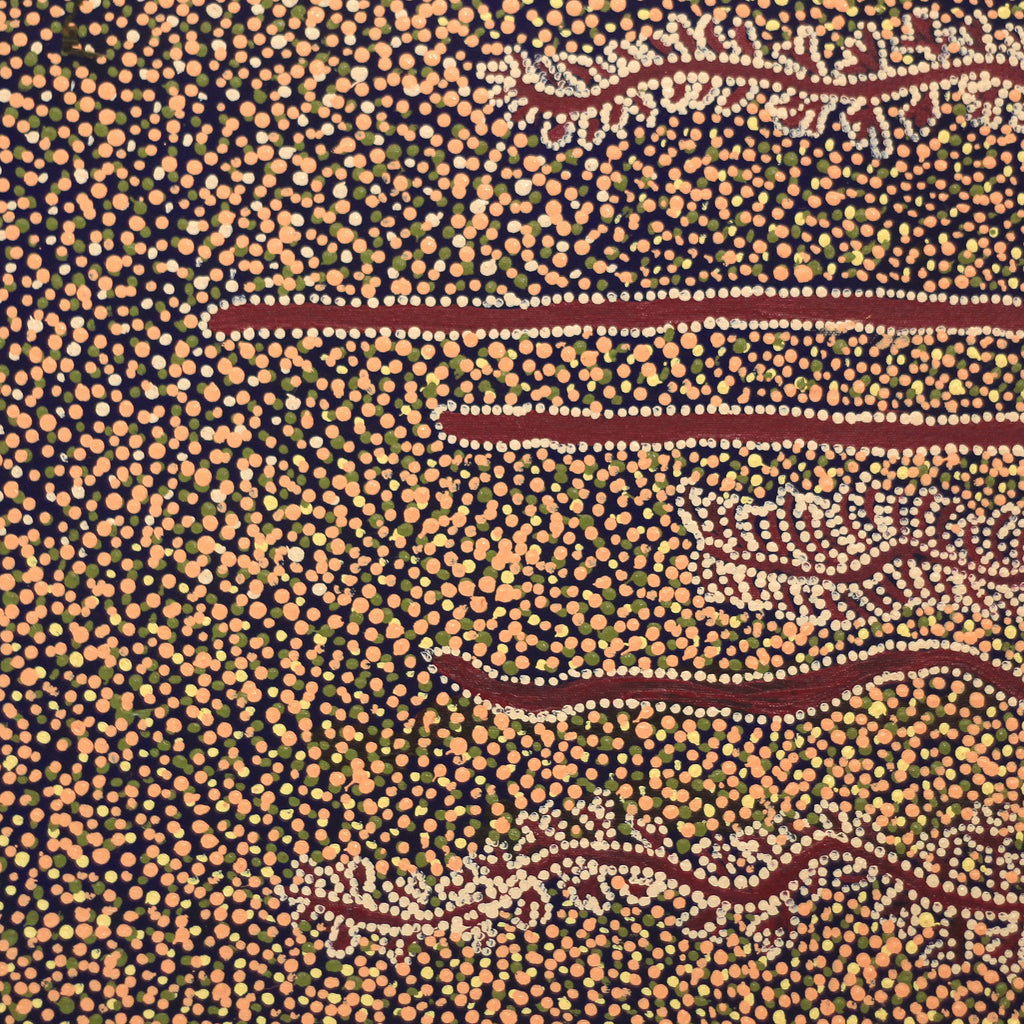 Aboriginal Artwork by Katrina Nampijinpa Brown, Watiya-warnu Jukurrpa (Seed Dreaming), 46x46cm
