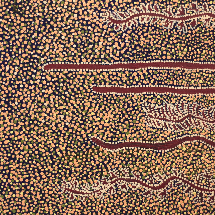 Aboriginal Artwork by Katrina Nampijinpa Brown, Watiya-warnu Jukurrpa (Seed Dreaming), 46x46cm