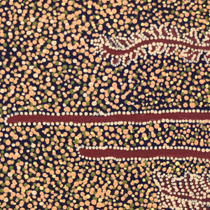 Aboriginal Artwork by Katrina Nampijinpa Brown, Watiya-warnu Jukurrpa (Seed Dreaming), 46x46cm - ART ARK®