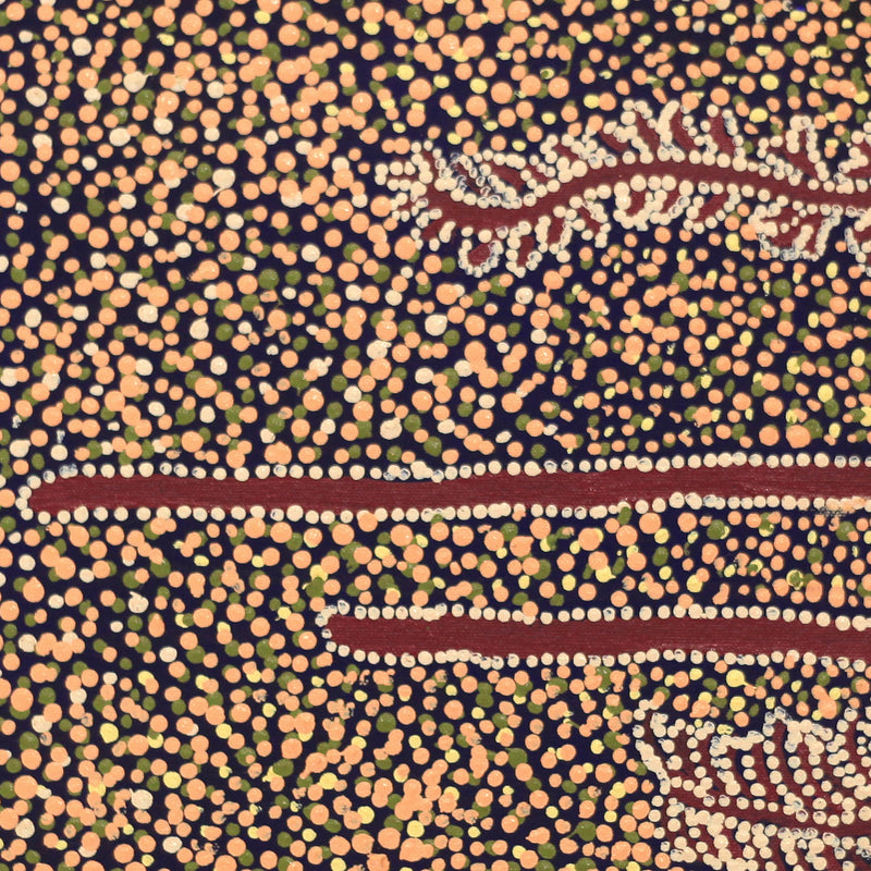 Aboriginal Artwork by Katrina Nampijinpa Brown, Watiya-warnu Jukurrpa (Seed Dreaming), 46x46cm