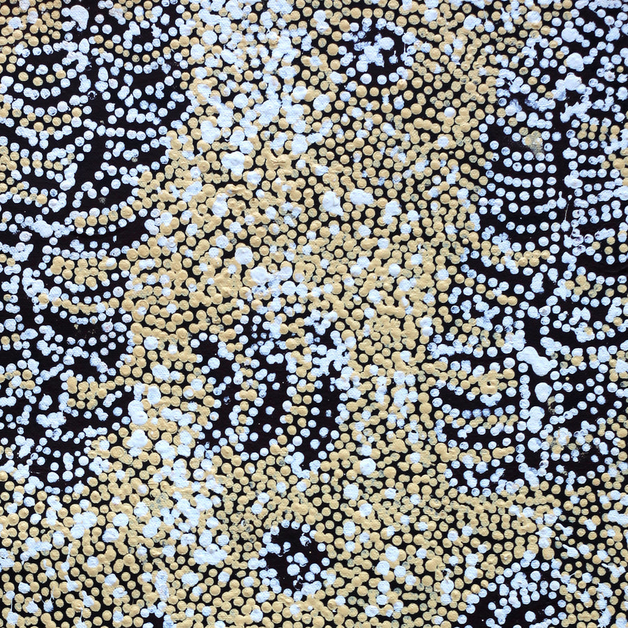 Aboriginal Artwork by Katrina Nampijinpa Brown, Watiya-warnu Jukurrpa (Seed Dreaming), 61x30cm