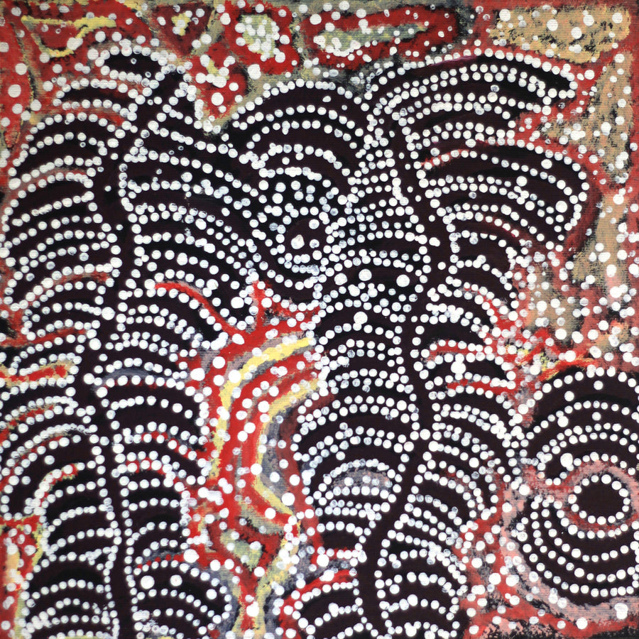 Aboriginal Artwork by Katrina Nampijinpa Brown, Watiya-warnu Jukurrpa (Seed Dreaming), 30x30cm