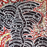 Aboriginal Artwork by Katrina Nampijinpa Brown, Watiya-warnu Jukurrpa (Seed Dreaming), 30x30cm