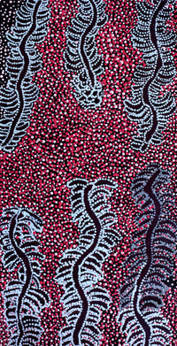 Aboriginal Artwork by Katrina Nampijinpa Brown, Watiya-warnu Jukurrpa (Seed Dreaming), 61x30cm