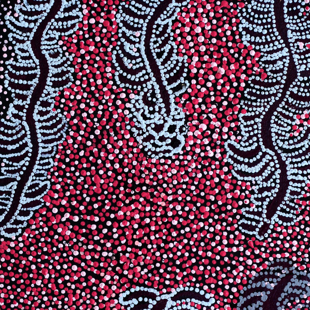 Aboriginal Artwork by Katrina Nampijinpa Brown, Watiya-warnu Jukurrpa (Seed Dreaming), 61x30cm