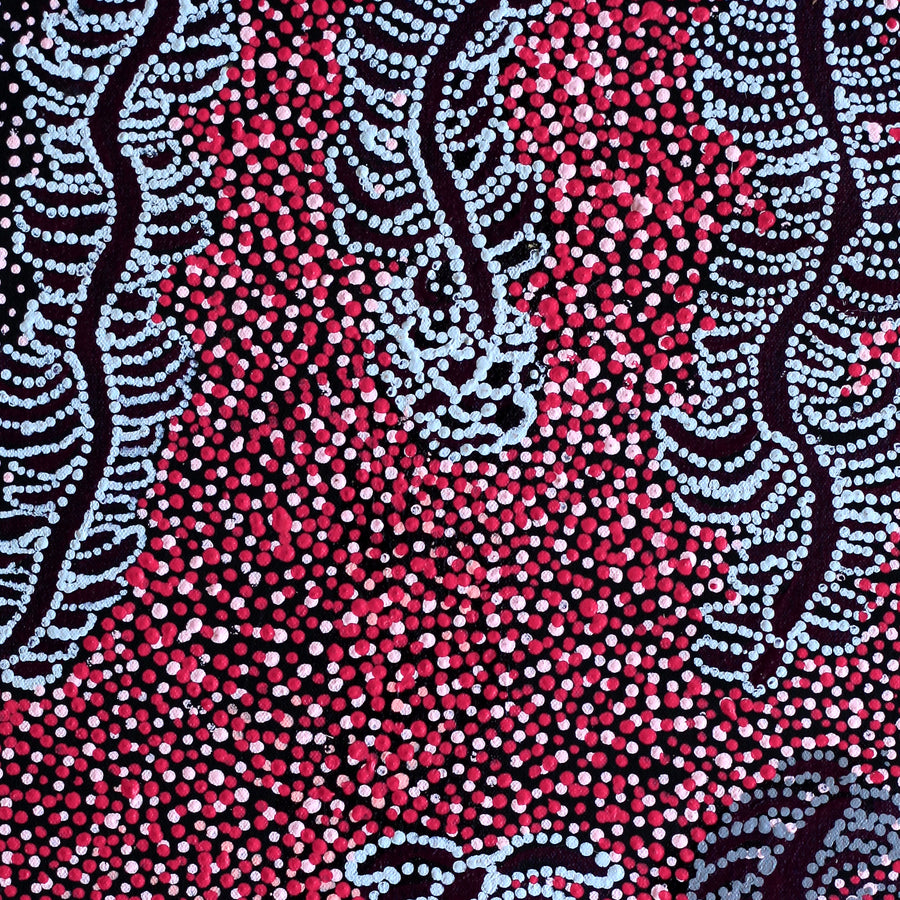 Aboriginal Artwork by Katrina Nampijinpa Brown, Watiya-warnu Jukurrpa (Seed Dreaming), 61x30cm