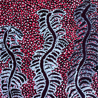 Aboriginal Artwork by Katrina Nampijinpa Brown, Watiya-warnu Jukurrpa (Seed Dreaming), 61x30cm