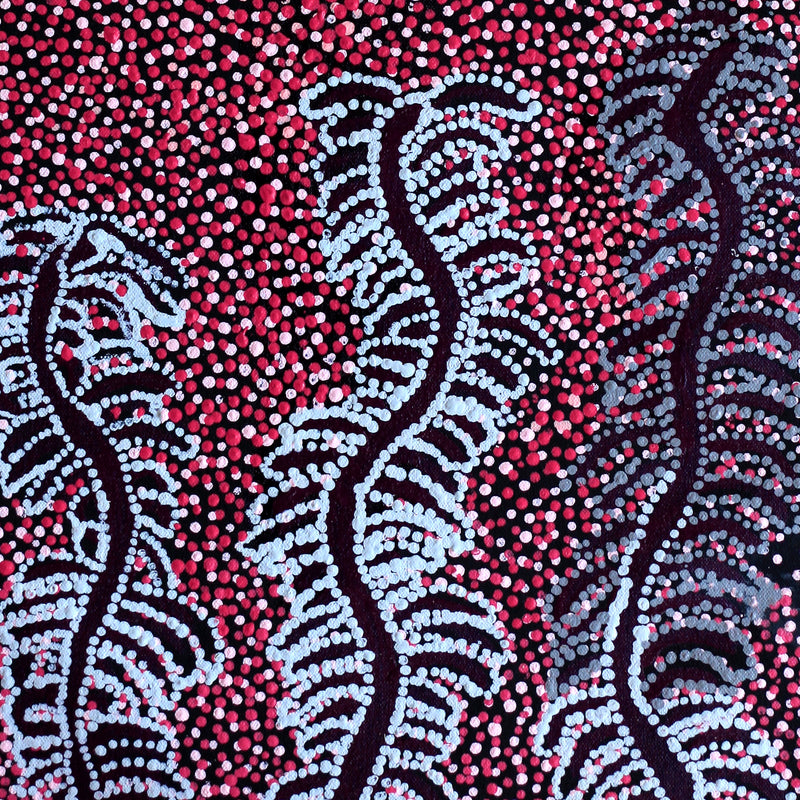 Aboriginal Artwork by Katrina Nampijinpa Brown, Watiya-warnu Jukurrpa (Seed Dreaming), 61x30cm