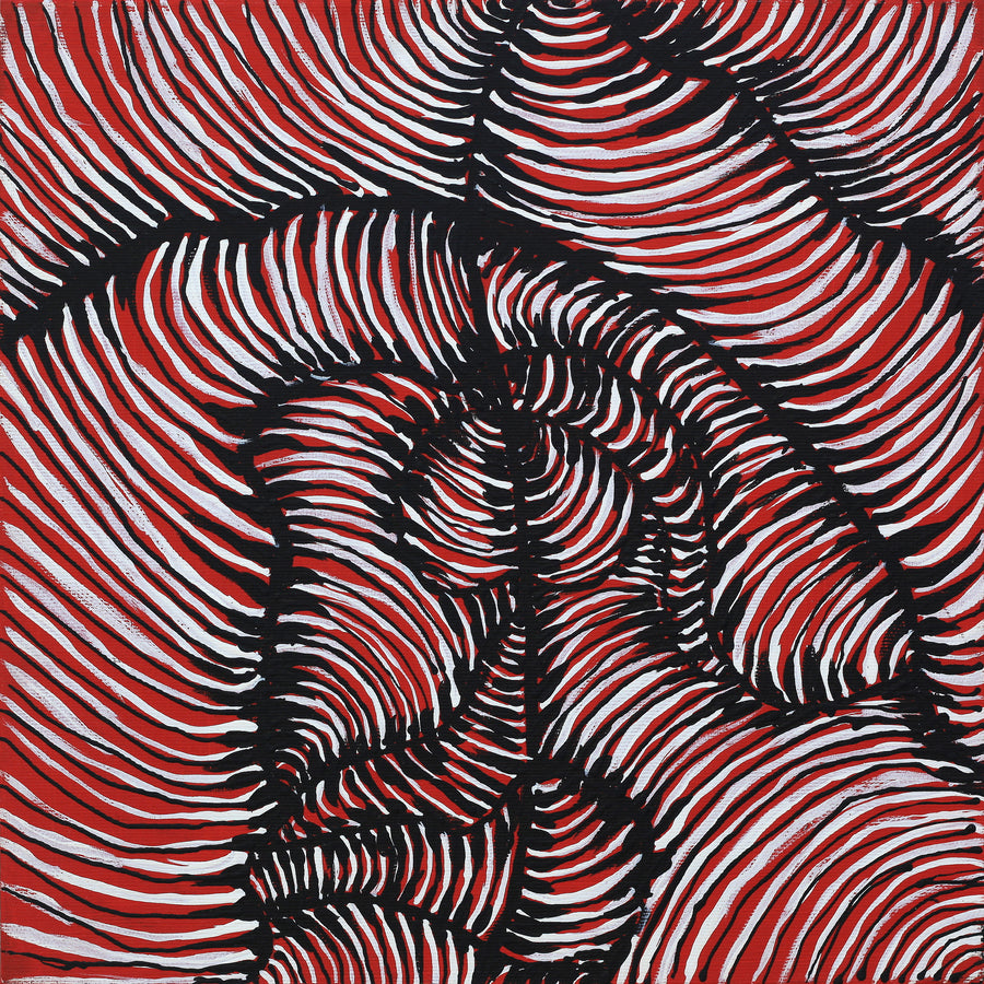 Aboriginal Artwork by Kaylisha Napaljarri Ross, Ngatijirri Jukurrpa (Budgerigar Dreaming), 30x30cm