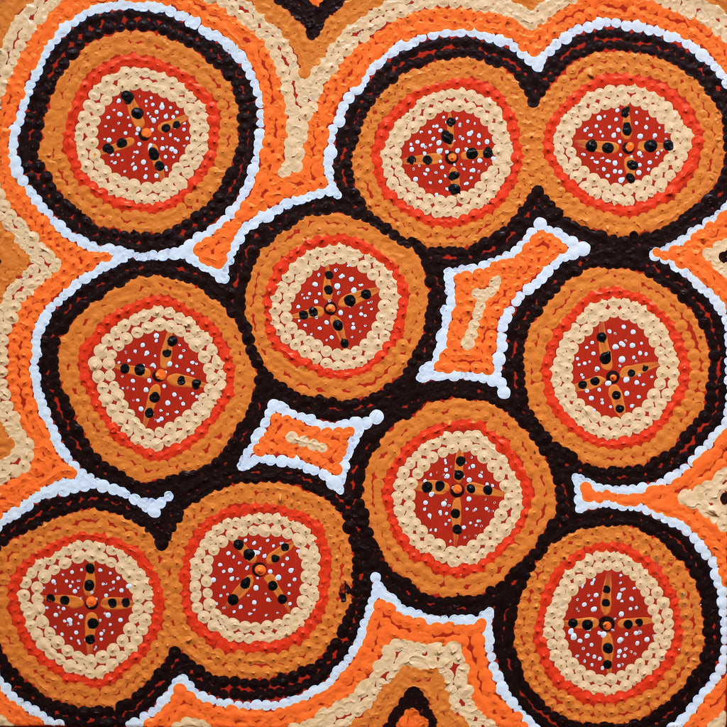 Aboriginal Artwork by Kaylisha Napaljarri Ross, Ngatijirri Jukurrpa (Budgerigar Dreaming), 30x30cm