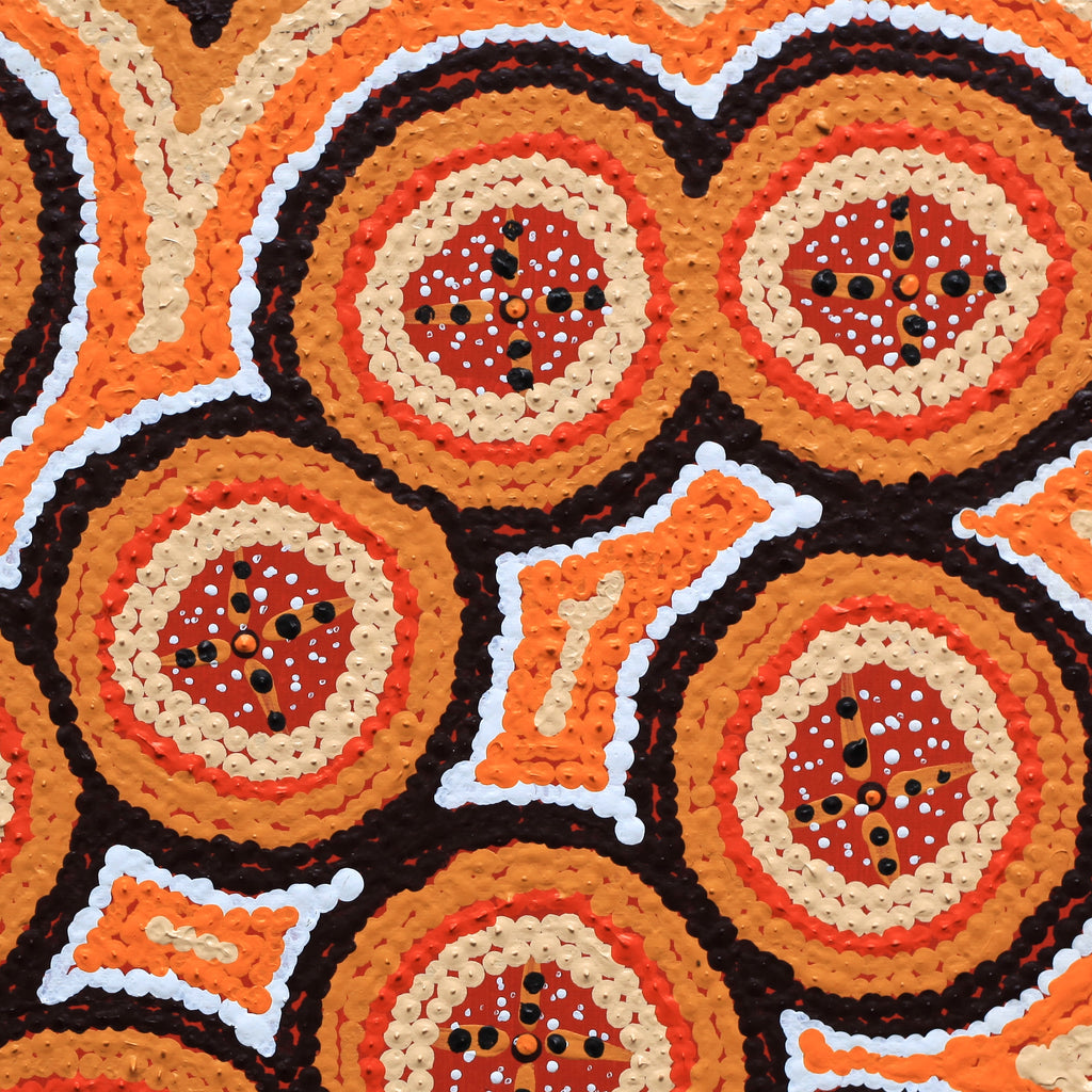 Aboriginal Artwork by Kaylisha Napaljarri Ross, Ngatijirri Jukurrpa (Budgerigar Dreaming), 30x30cm
